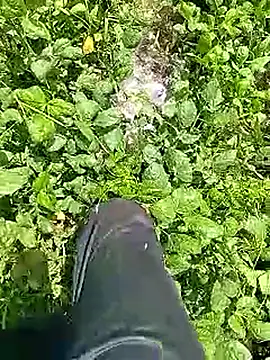 Cute Boy 4 online show from 9, 4, 2026