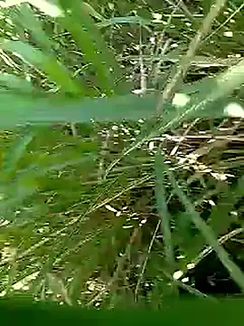 Snapshot of Cute_Boy_4 chatting on 25, 4, 2026 Cute Boy 4 online show from 25, 4, 2026