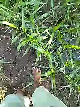 Cute Boy 4 online show from 6, 4, 2026