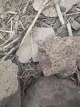 Cute Boy 4 online show from 18, 2, 2026