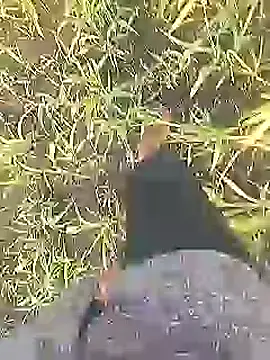 Cute Boy 4 online show from 28, 2, 2026