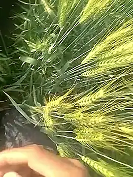 Cute Boy 4 online show from 10, 2, 2026