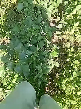 Cute Boy 4 online show from 22, 4, 2026