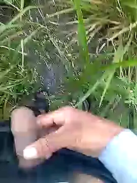 Cute Boy 4 online show from 11, 4, 2026