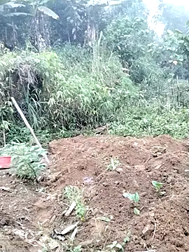 Tina-beo online show from 18, 4, 2026