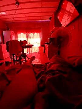 elvergon23139 online show from 8, 2, 2026