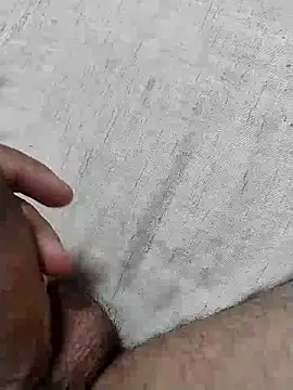 homem-amador online show from 28, 2, 2026