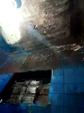 CHO8708 online show from 13, 3, 2026