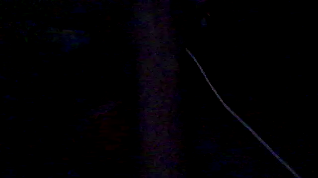 lorraine2036 online show from 28, 2, 2026