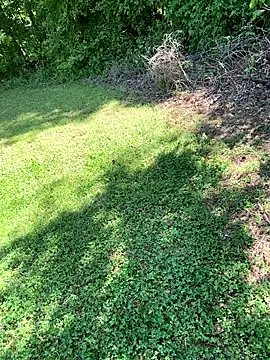 magic man1085 online show from 18, 4, 2026