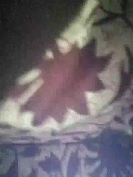 Julilodhi8695 online show from 16, 4, 2026