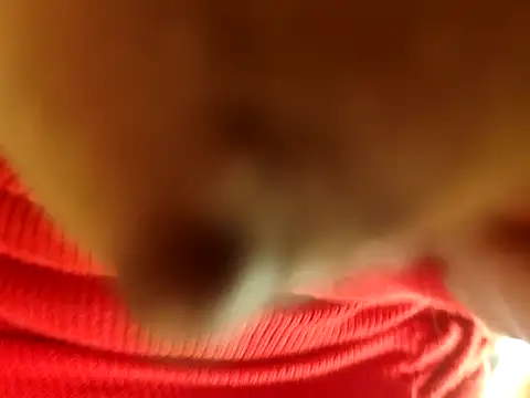 Snapshot of Brissperu18 chatting on 12, 2, 2026 Brissperu18 online show from 12, 2, 2026