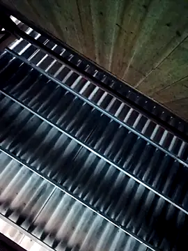 quynhbupbe11 online show from 9, 3, 2026