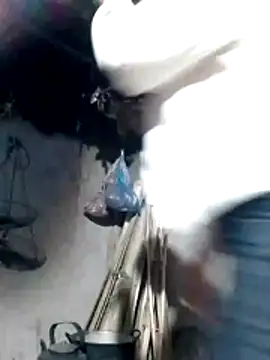 maimai1100 online show from 7, 2, 2026