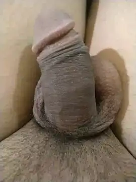 rosz  online show from 2, 3, 2026