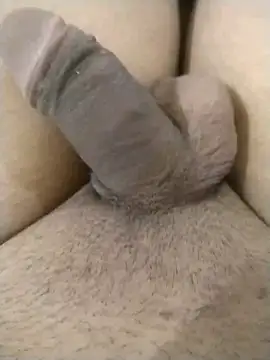 rosz  online show from 24, 2, 2026