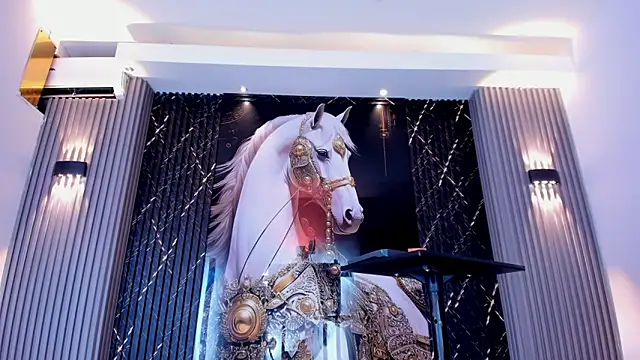 the knights of the night online show from 28, 2, 2026