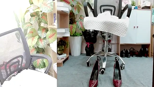 Zinna999 online show from 18, 3, 2026