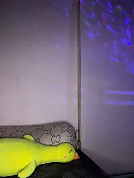 siting00 online show from 11, 3, 2026