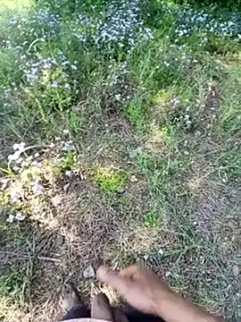 Sharmasamba online show from 25, 3, 2026