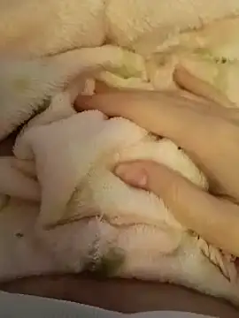 CutxeFrench online show from 2, 3, 2026