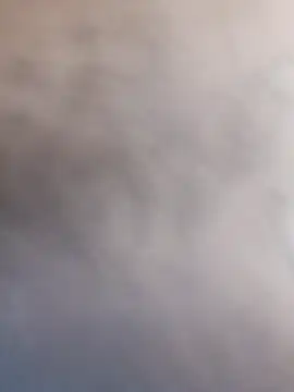 sushi-asa online show from 8, 3, 2026