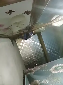 Dunk-namic online show from 14, 4, 2026