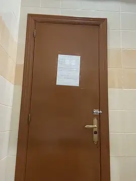 DavShi online show from 24, 2, 2026