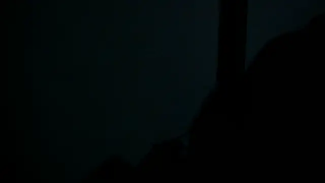 SussyFox online show from 8, 3, 2026