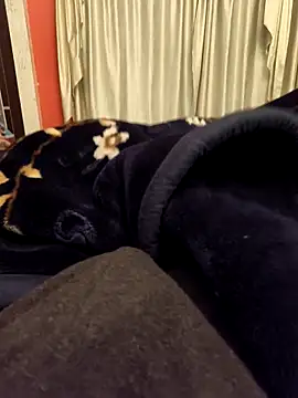 Snapshot of rubitrides11 chatting on 11, 2, 2026 rubitrides11 online show from 11, 2, 2026