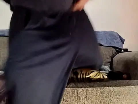 AERIALCLOVER online show from 24, 2, 2026