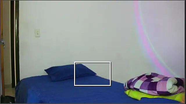 RoseSinsDonViktor online show from 6, 3, 2026