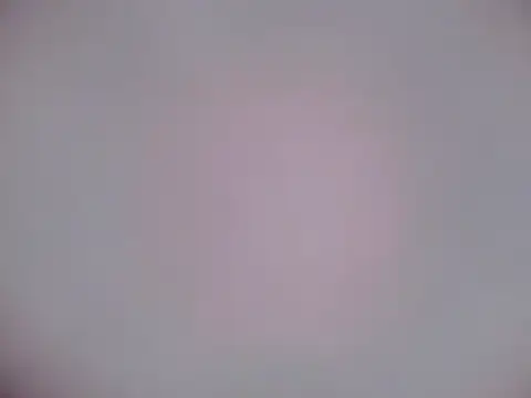 Luanatrav1 online show from 21, 2, 2026