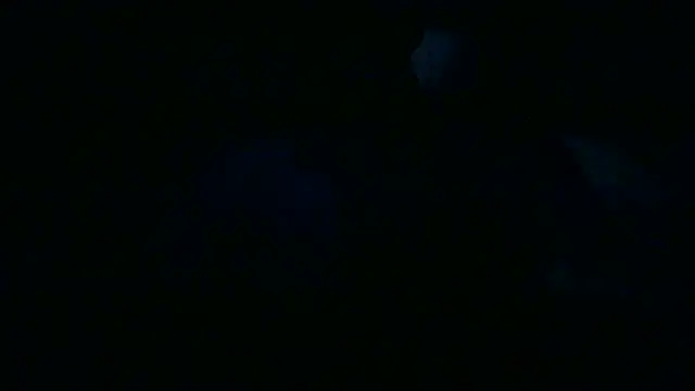 Luanatrav1 online show from 19, 3, 2026