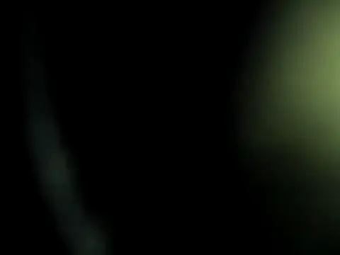 camila wood online show from 10, 2, 2026