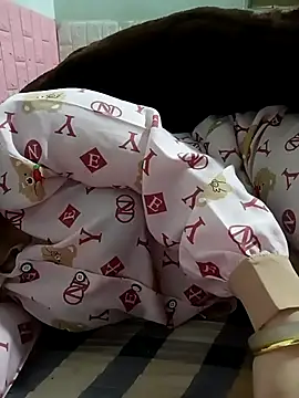 Tulip ii online show from 17, 3, 2026