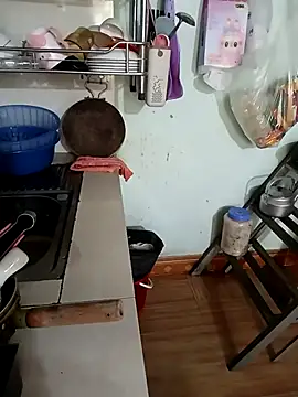 Tulip ii online show from 26, 2, 2026