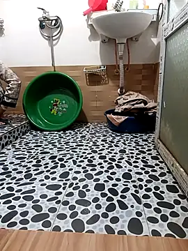 Tulip ii online show from 7, 3, 2026