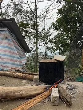 susin-beo online show from 3, 2, 2026