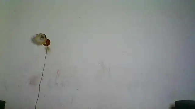 NickiKisinger online show from 7, 2, 2026