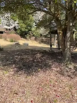 K0U-123 online show from 3, 4, 2026