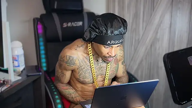StillArQuez online show from 5, 6, 2026