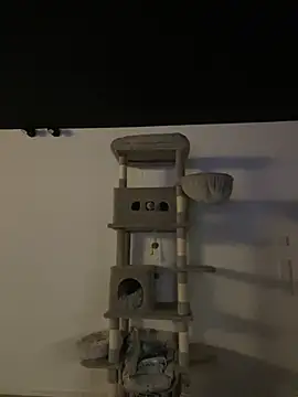 Just-Lilly online show from 10, 3, 2026