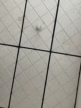 CarolineFyre online show from 22, 4, 2026