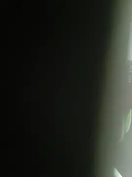 Gordinho dos pes online show from 25, 2, 2026