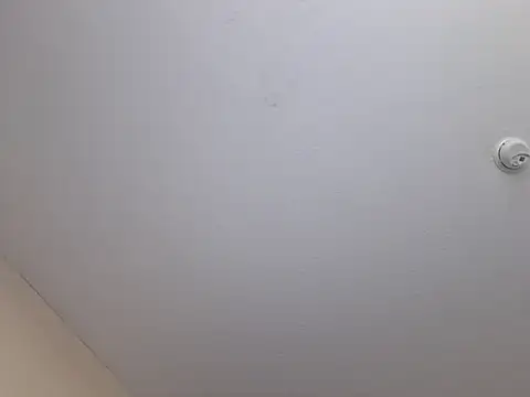 bigbooietx online show from 8, 4, 2026