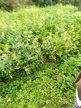 baby 112233 online show from 13, 3, 2026