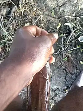 kalai 32 online show from 13, 2, 2026