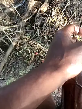 kalai 32 online show from 12, 2, 2026