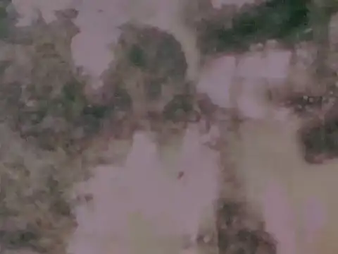 worldClassSelfsuckerxxxxx online show from 4, 3, 2026